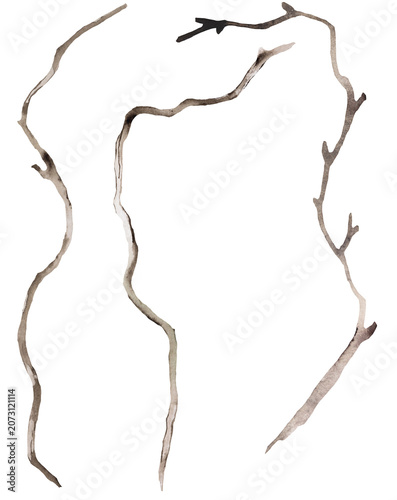  Watercolor brown defoliated tree branches clipart set, Rustic or Boho Wedding isolated illustration