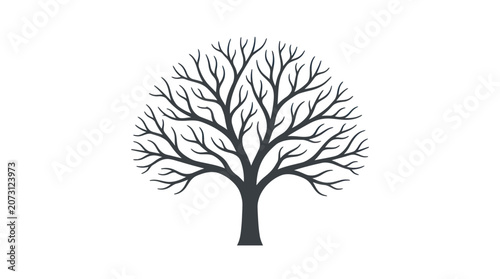Bare tree with no leaves standing.