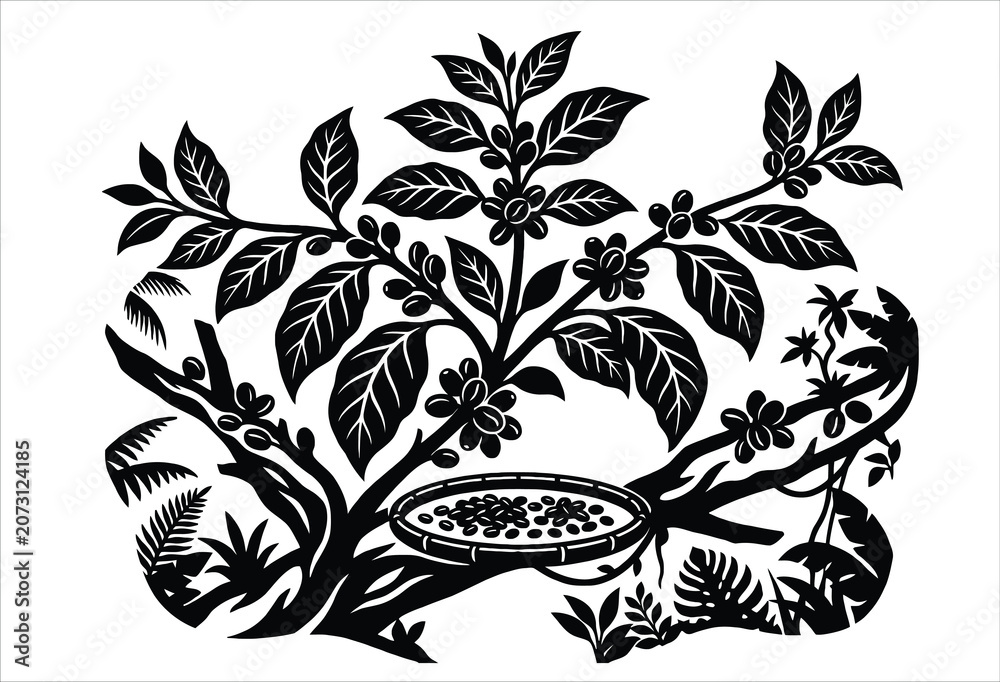 Fototapeta premium Coffee plant with beans and flowers black vector illustration on white background