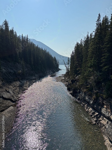 Sunlit River Gorge In The Canadian Rockies Forest