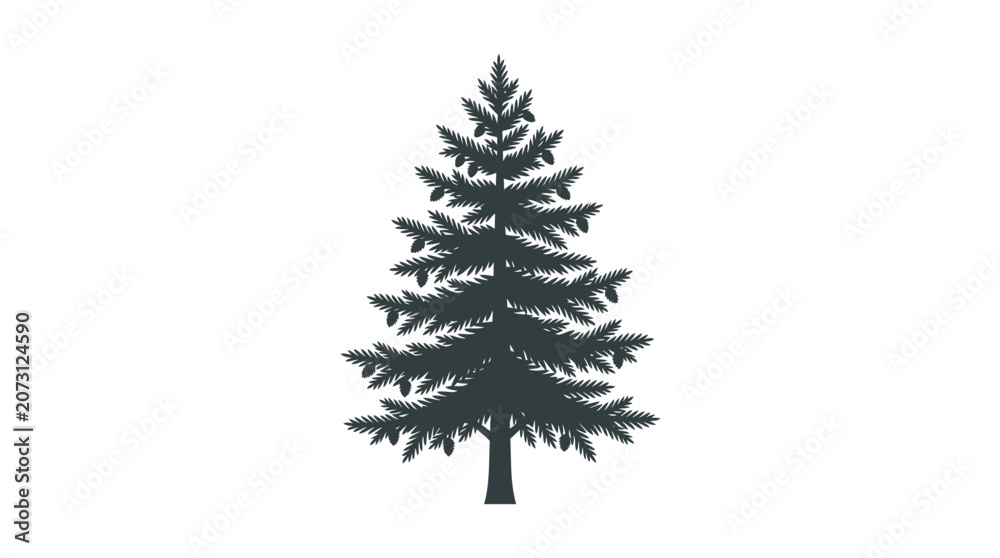 Obraz premium Dark green pine tree silhouette.