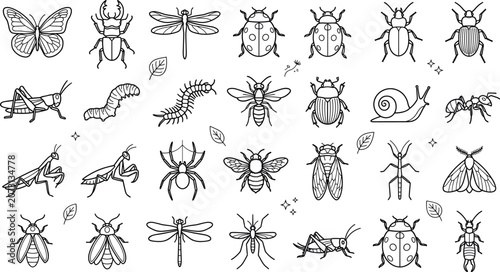 Cuadro en lienzo Insects and bugs line icon set featuring butterfly beetle dragonfly ladybug bee