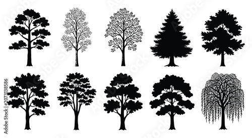 Tableau sur toile Tree Silhouettes And Shapes Black Vector Illustration On White Background