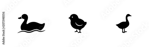 Bild auf Leinwand Set of Bird icon set vector graphic design elements featuring duck chick and goo