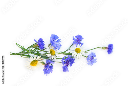 Blue cornflowers and white daisies bouquet on white background. Flat lay