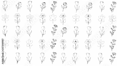 Foto Collection Of Floral Sketches A Line art Pattern On A Light Gray Background bota