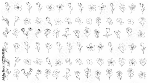 Schilderij op canvas Collection Of Floral Ornaments Featuring Various Flower Sketches In A Line Art S