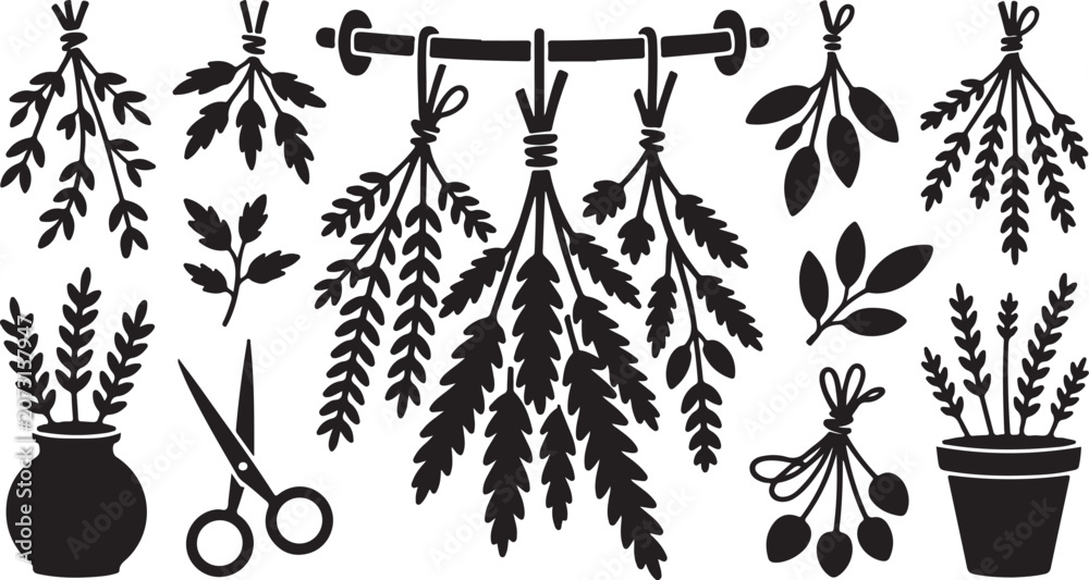 Fototapeta premium Herb garden, botanical icons, black silhouette, vector plants, herbaceous illustrations