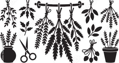 Photos Herb garden, botanical icons, black silhouette, vector plants, herbaceous illust