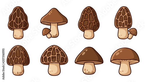 Collection of cartoon morel and button mushrooms with unique textures and shapes