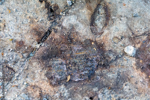 Close-up texture of weathered wood with dirt and small stones, background, texture