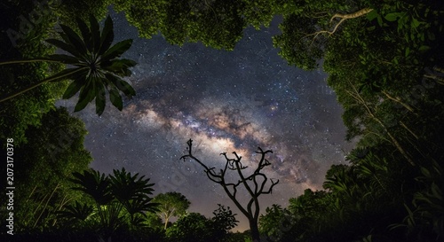 A stunning view of the Milky Way galaxy visible through the lush canopy of a tropical rainforest at night