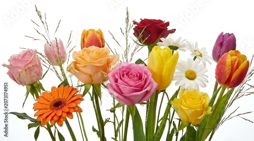Flowers Bouquet with Roses Tulips Daisies and Orange Gerbera Blossoms Isolated on White Background for Greeting Design