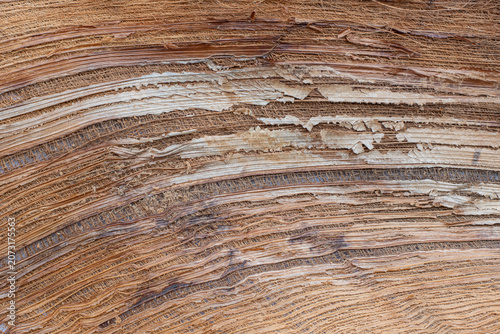Coconut fiber texture (Cocos nucifera), Shoe sole material, Natural Coconut Husk Fiber Texture for Eco Friendly Material