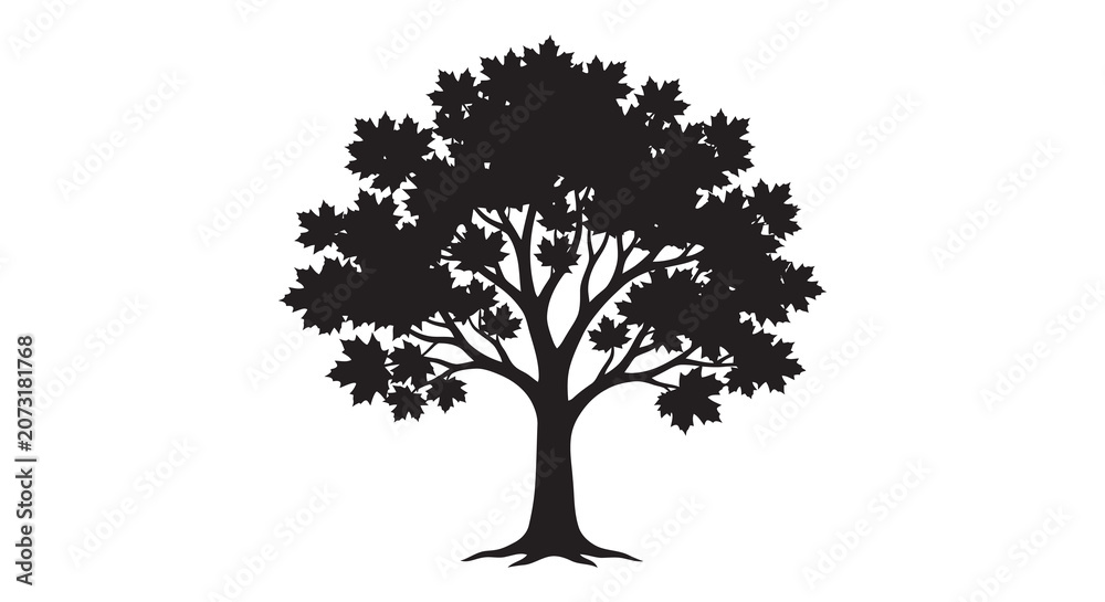 Fototapeta premium Black Silhouette Of A Maple Tree Against A White Background