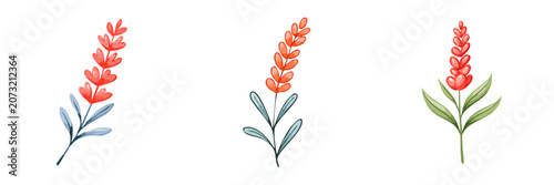 Set of delicate watercolor floral elements with slender stems and leaves