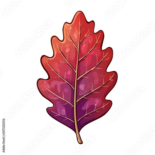 Vibrant Red and Purple Oak Leaf Illustration with Detailed Veins