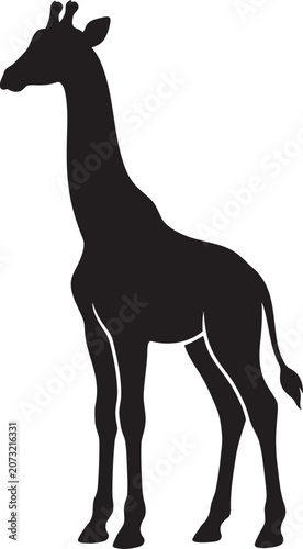 Baby Giraffe Standing Silhouette Vector Isolated on White Background