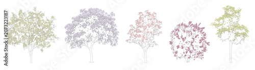 Set of colorful spring flowering trees for use in architectural drawing  - isolated on transparent background 