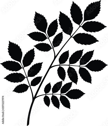 Botanical Leaf Branch Silhouette Vector Collection Isolated on White Background