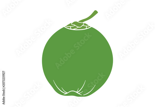 Natural young coconut vector with fresh organic appeal.