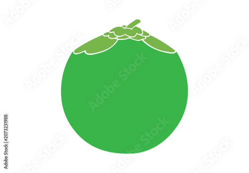 Fresh green coconut vector illustration isolated on a white background.