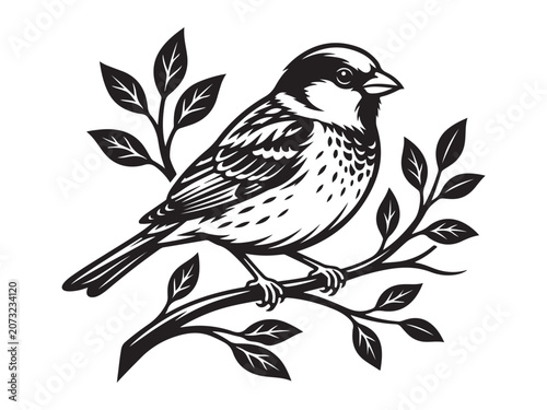 Картината върху платно Black and White Sparrow Bird Perched on a Branch Illustration