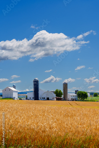 Farm landscape with buildings and fields in rural Lancaster County during the day
