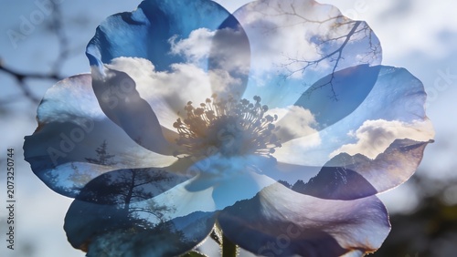 Double exposure artistic image of blue flower petals blended with clouds and mountain peaks.