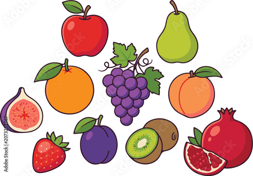 Fresh Fruit Collection Premium Vector Illustration