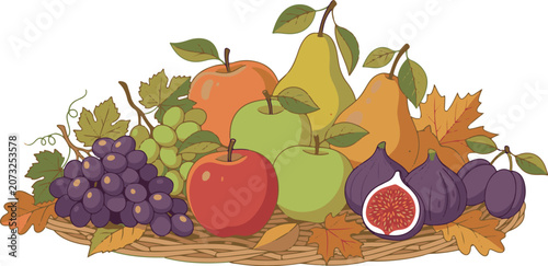 Healthy Organic Fruits Vector Illustration
