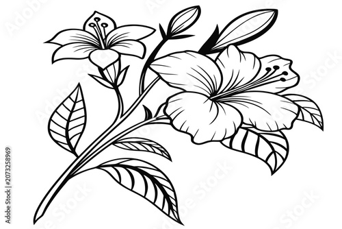 coloring page line art the tulip magnolia flower black vector
