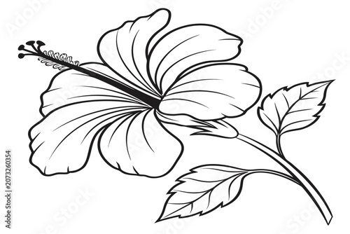 coloring page line art the velvet tulip flower black vector