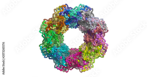 Εκτύπωση καμβά Human nuclear pore complex scaffold in the constricted state, cryo-EM integrativ