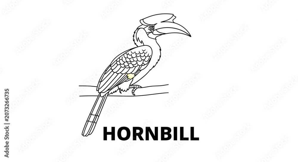 Fototapeta premium Hornbill Bird Line Art Vector Illustration