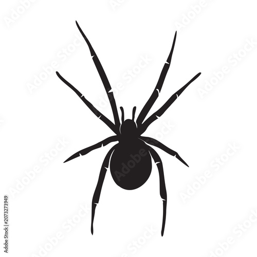 Spider silhouette, halloween spider. Vector illustration