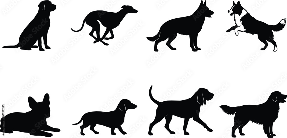 Obraz premium Vector silhouette collection of various dog breeds sitting, running, standing, and playing on white background