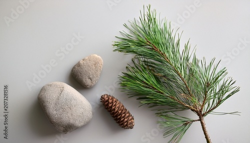 minimalist flat lay with pine branch and stone
