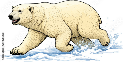 Photos Ursus maritimus illustration art 4