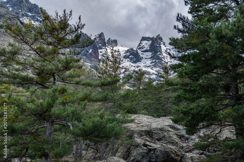 Fototapeta premium Mountains and trees near a rocky area with snow on the peaks in the background. Corsica, France.