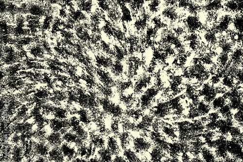 Obraz na płótnie Abstract floral grunge texture background with vintage botanical pattern in mono