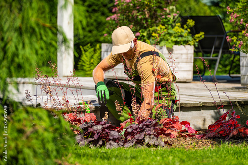 Fotografie Gardener works in a flower bed during sunny day in a backyard setting