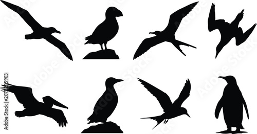 Tableau sur toile Sea birds and marine waterfowl silhouette set featuring puffin penguin seagull p