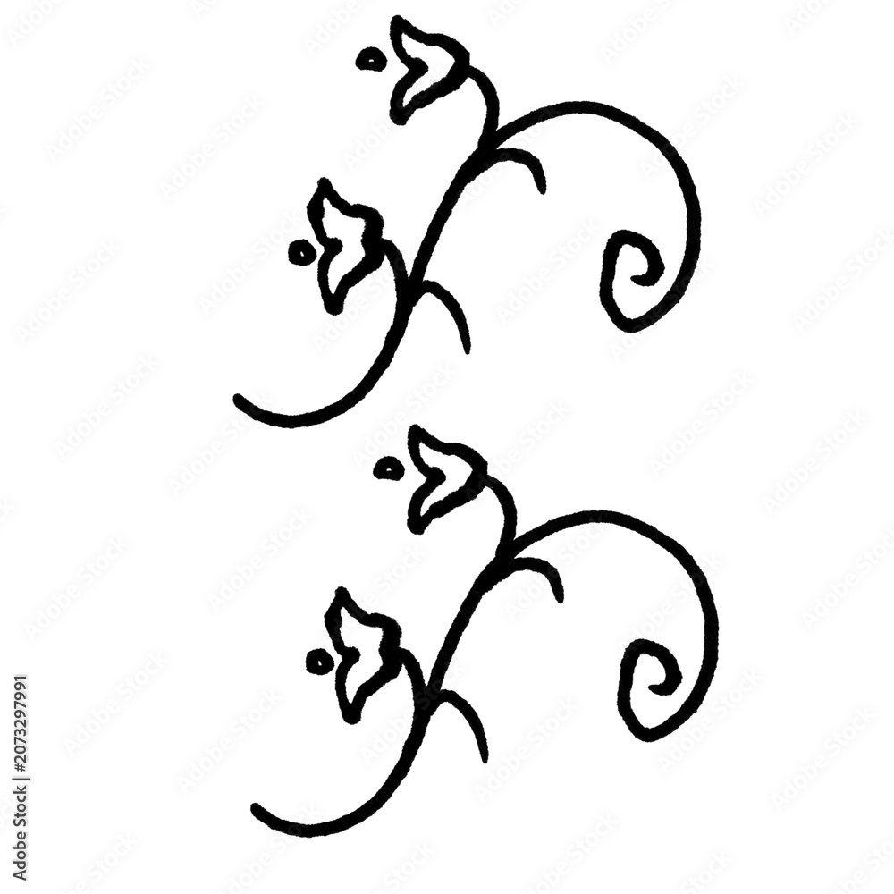 Fototapeta premium Black Floral Doodle Line Art with Bell Flowers – Minimalist Botanical Pattern