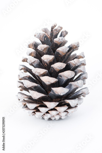 Pine cone with frosted tips, showcasing intricate textures and natural beauty, perfect for Christmas and New Year decorations, symbolizing winter festivities and seasonal charm