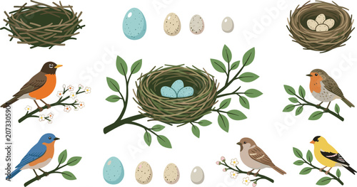 Canvastavla Spring Bird Nest and Eggs Vector Element Set Featuring Robin Bluebird Goldfinch