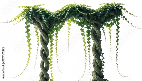 Twisted stone pillars covered in hanging green ivy vines
