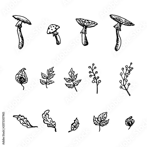 Black and white ink illustration of poisonous mushrooms and leaves. A hand drawn monochrome sketch in a simple childlike style. In EPS format. Halloween doodles in a grunge style.
