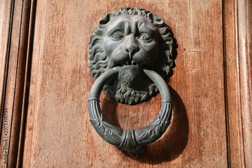 Poignée de porte  à tête de lion en bronze