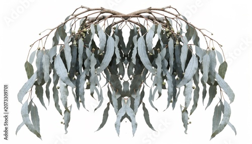 Abstract symmetrical art with hanging willow tree leaves